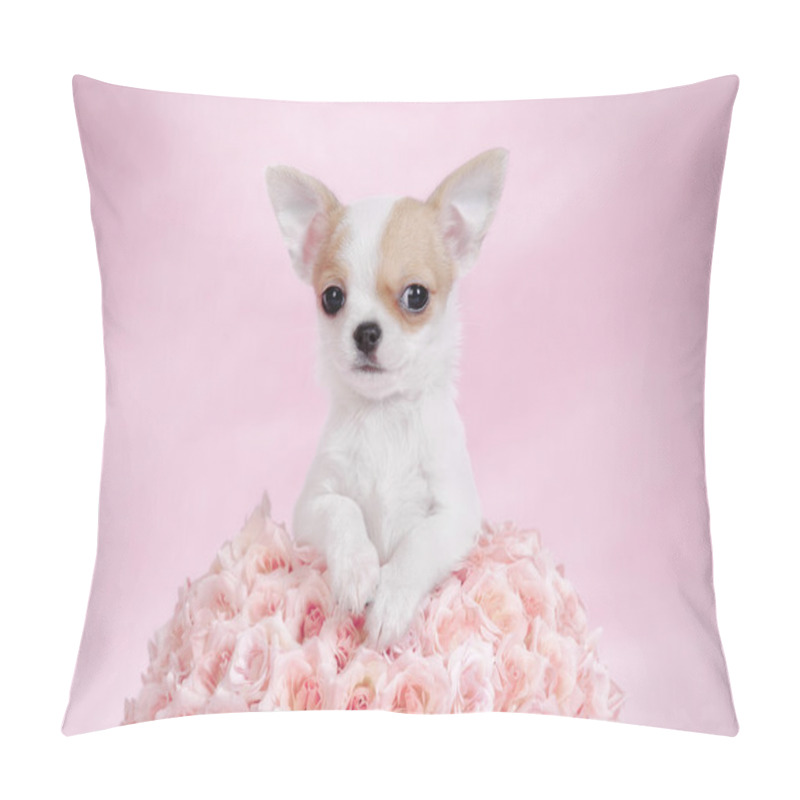 Personality  Chihuahua Puppy Portrait Pillow Covers