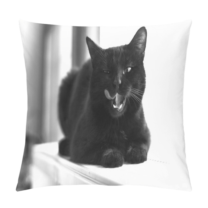 Personality  Black Cat Expressions Pillow Covers