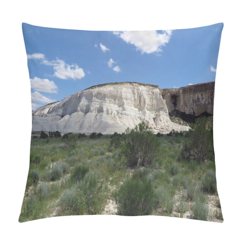 Personality  Ustyurt Plateau. Western Kazakhstan Pillow Covers