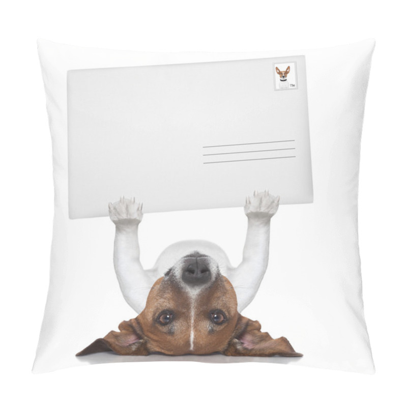 Personality  Mail Dog Pillow Covers