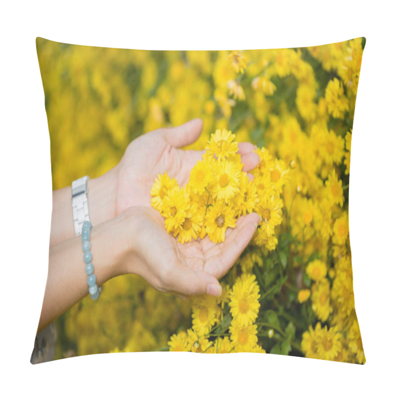 Personality  Female Hands Holding Flowers Of Chrysanthemum Plants In Natural Field Outdoors Pillow Covers