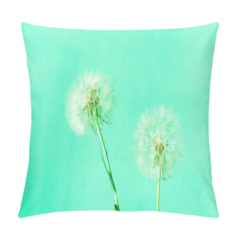 Personality  Creative Mint Background With White Dandelions Inflorescence. Tr Pillow Covers