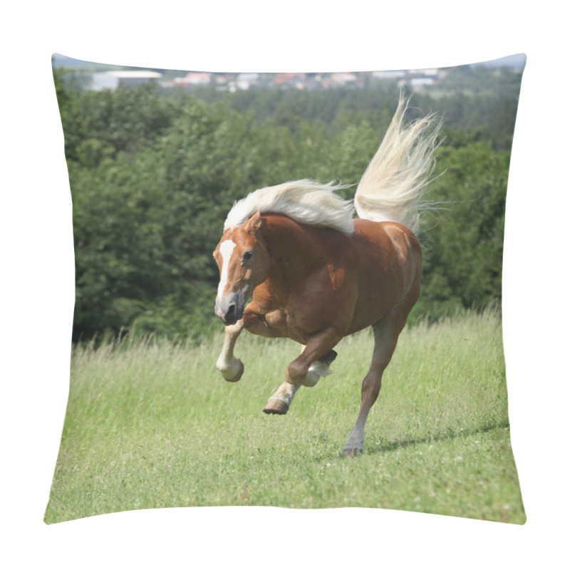 Personality  Amazing Haflinger Jumping On Pasturage Pillow Covers