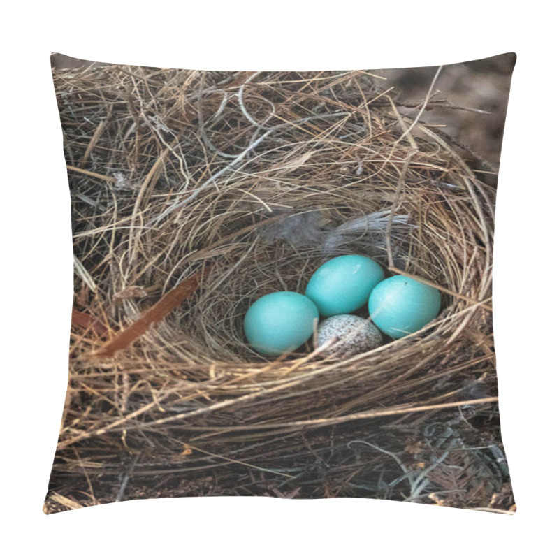 Personality  Three Eastern Bluebird Eggs Sialia Sialis In A Nest With A Speckled Brown Headed Cowbird Egg Molothrus Ater In Naples, Florida Pillow Covers