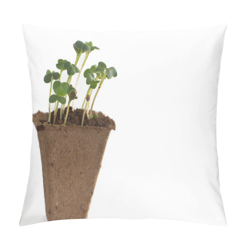 Personality  Sprouts In A Peat Pot With Earth, The Beginning Of A New Life. Pillow Covers