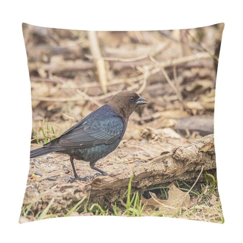 Personality  A Brown-headed Cowbird Strolling Through The Forest. Cowbirds Lay Their Eggs In Other Birds Nests And The Host Raises The Young Most Times. Pillow Covers