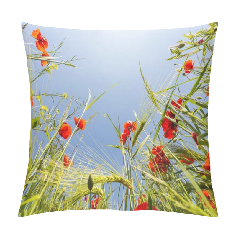 Personality  Grain Field With Rye (Secale Cereale) And Poppy (Papaver), View From Below, Blue Sky, Radebeul, Saxony, Germany, Europe Pillow Covers