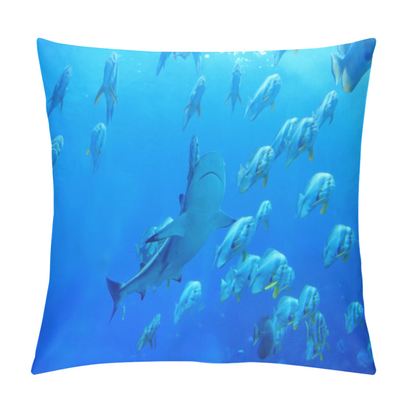 Personality  Shark And Fish Pillow Covers