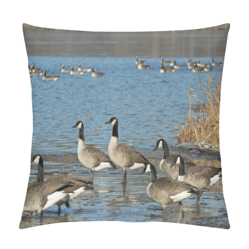 Personality  Flock Of Canada Geese Pillow Covers