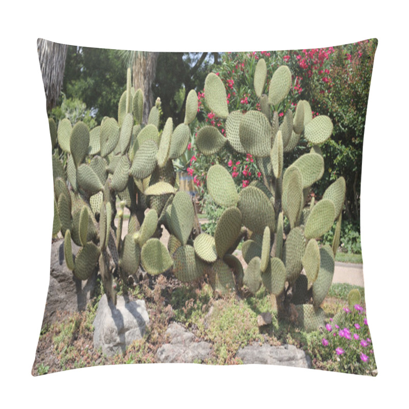 Personality  Opuntia Scheerii Pillow Covers