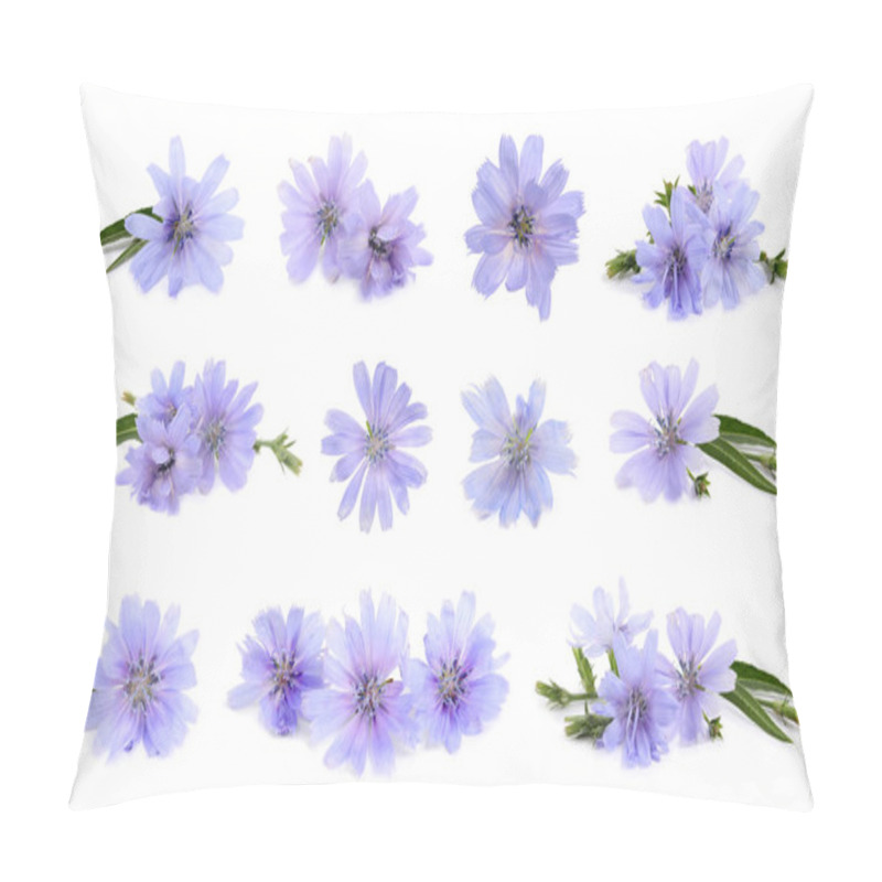 Personality  Beautiful Tender Chicory Flowers On White Background, Collage  Pillow Covers