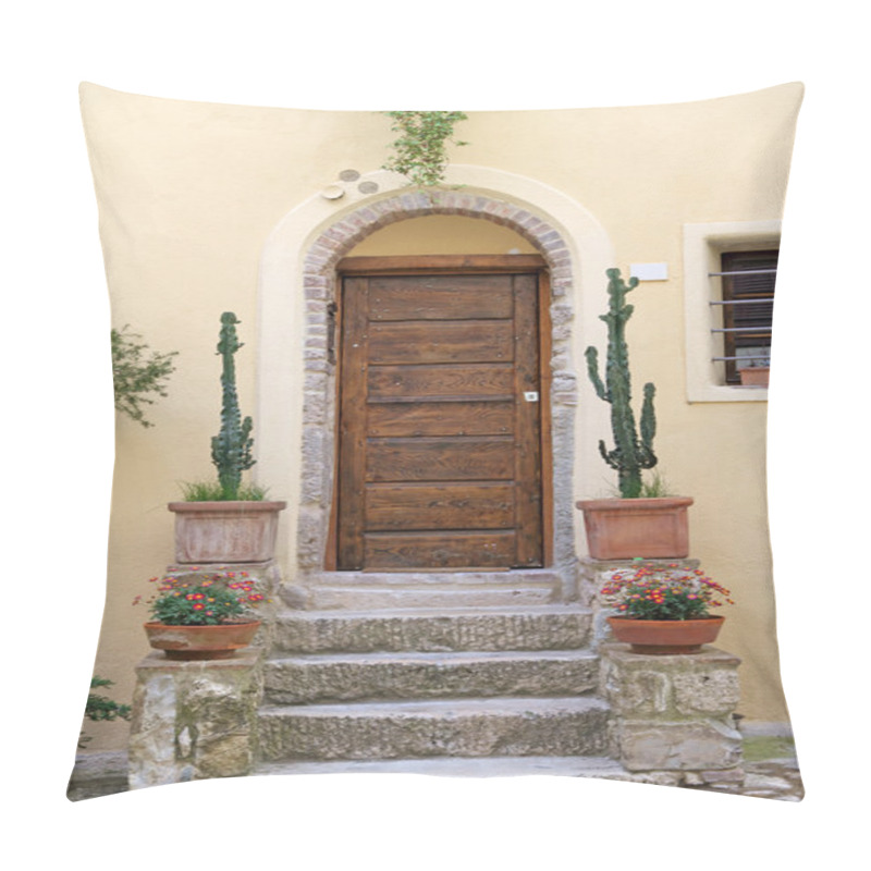 Personality  Front Door With Cacti Pillow Covers