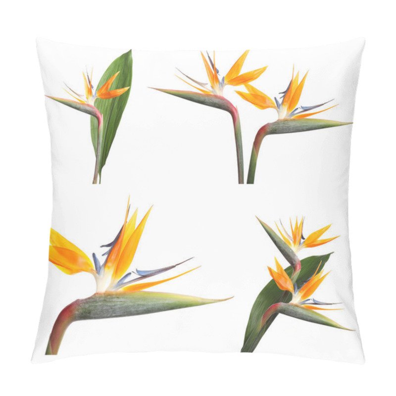 Personality  Set With Beautiful Bird Of Paradise Tropical Flowers On White Background Pillow Covers