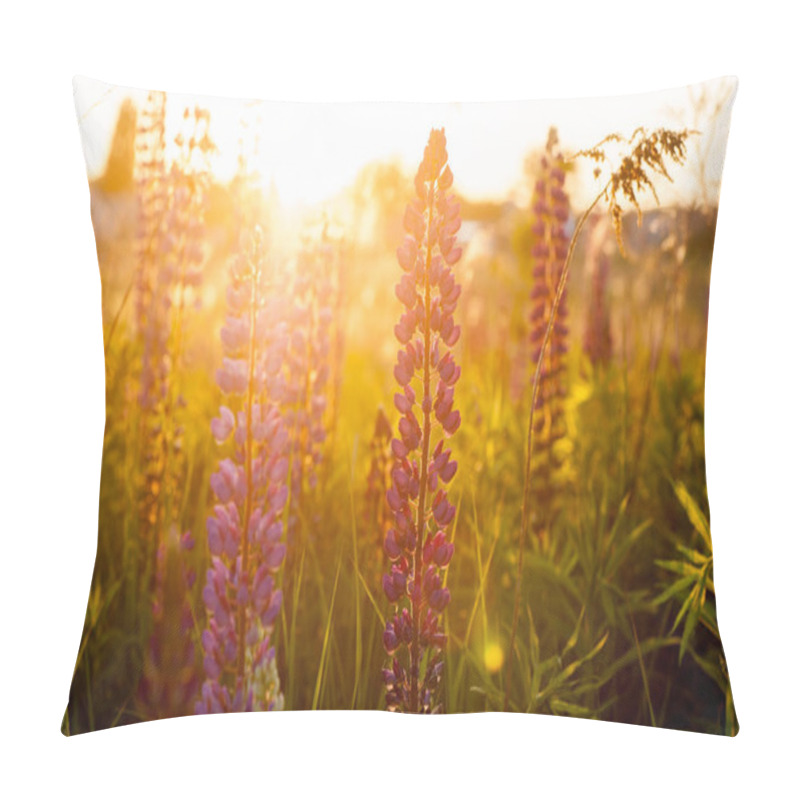 Personality  Beautiful Blue And Violet Lupines In Rural Field At Sunrise (sunset). Natural Floral Background Pillow Covers