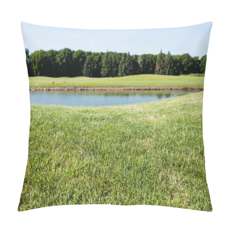 Personality  Selective Focus Of Green Grass Near Pond In Park In Summertime  Pillow Covers