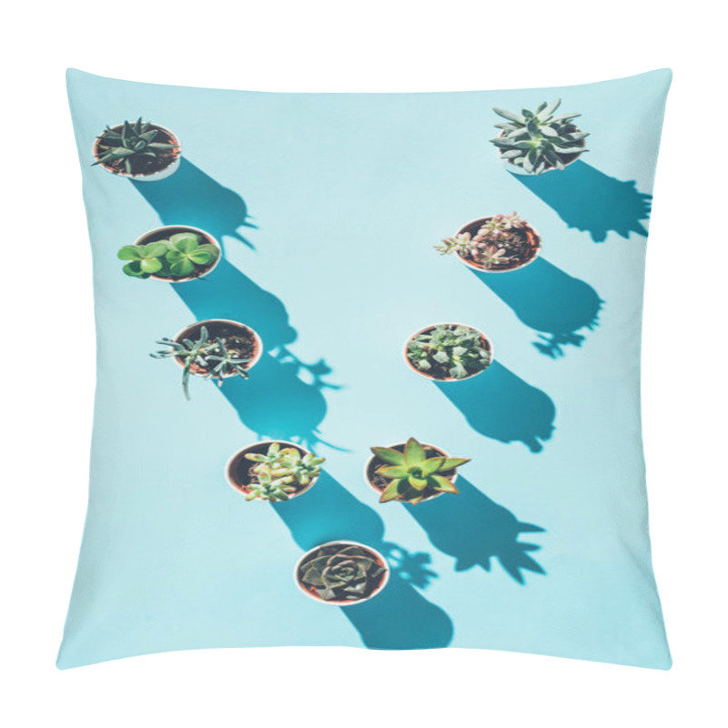 Personality  Top View Of Letter V Made From Green Potted Plants On Blue  Pillow Covers