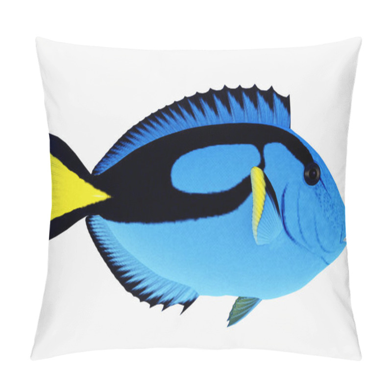 Personality  Blue Tang Fish Pillow Covers