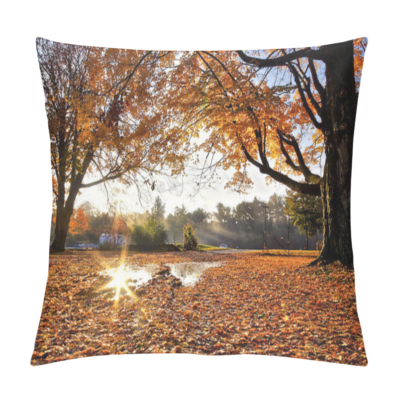 Personality  Sunrise With Lens-flare And Maple Tree Leaves Covered The Ground  Pillow Covers