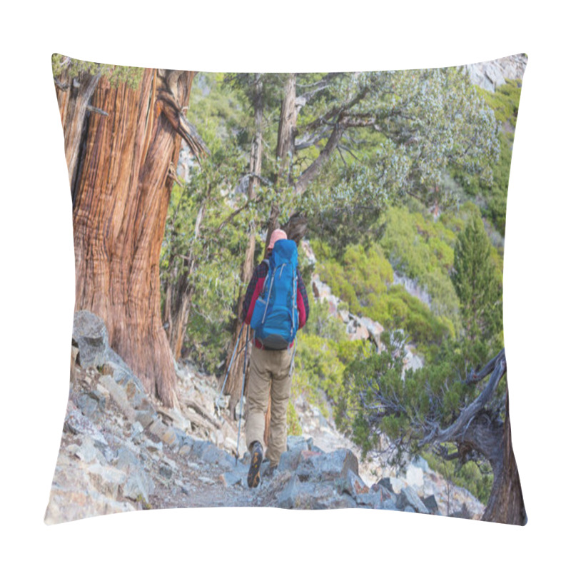 Personality  Hike In Sierra Nevada Pillow Covers