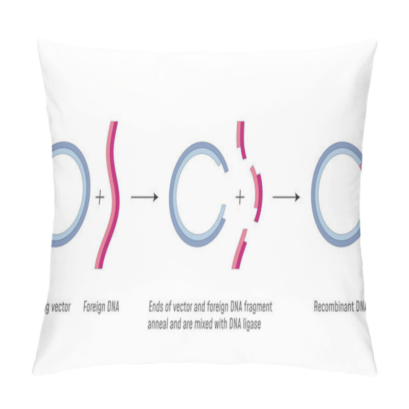 Personality  Gene Cloning. DNA Recombinant Pillow Covers