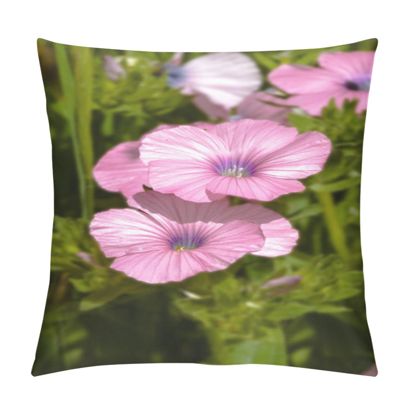 Personality  Pansy Flowers Pillow Covers