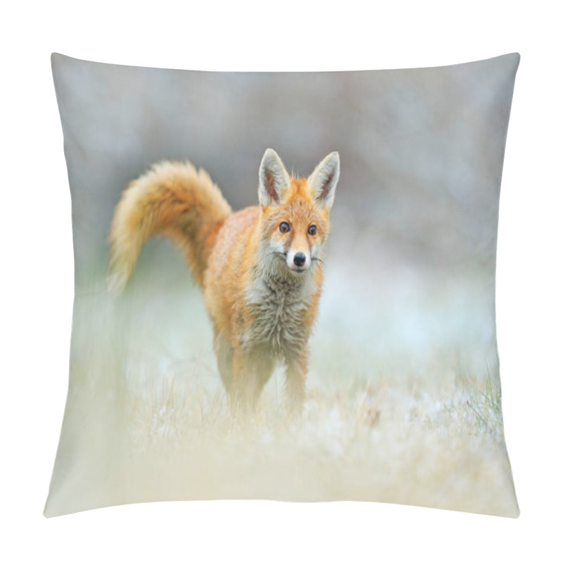 Personality  Red Fox Jumping , Vulpes Vulpes, Wildlife Scene From Europe. Orange Fur Coat Animal In The Nature Habitat. Fox On The Green Forest Meadow. Pillow Covers