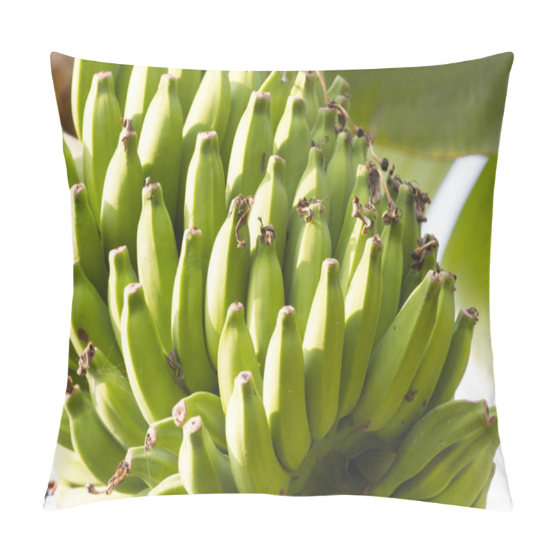 Personality  Bunch Of Bananas On A Banana Plantation In India Pillow Covers