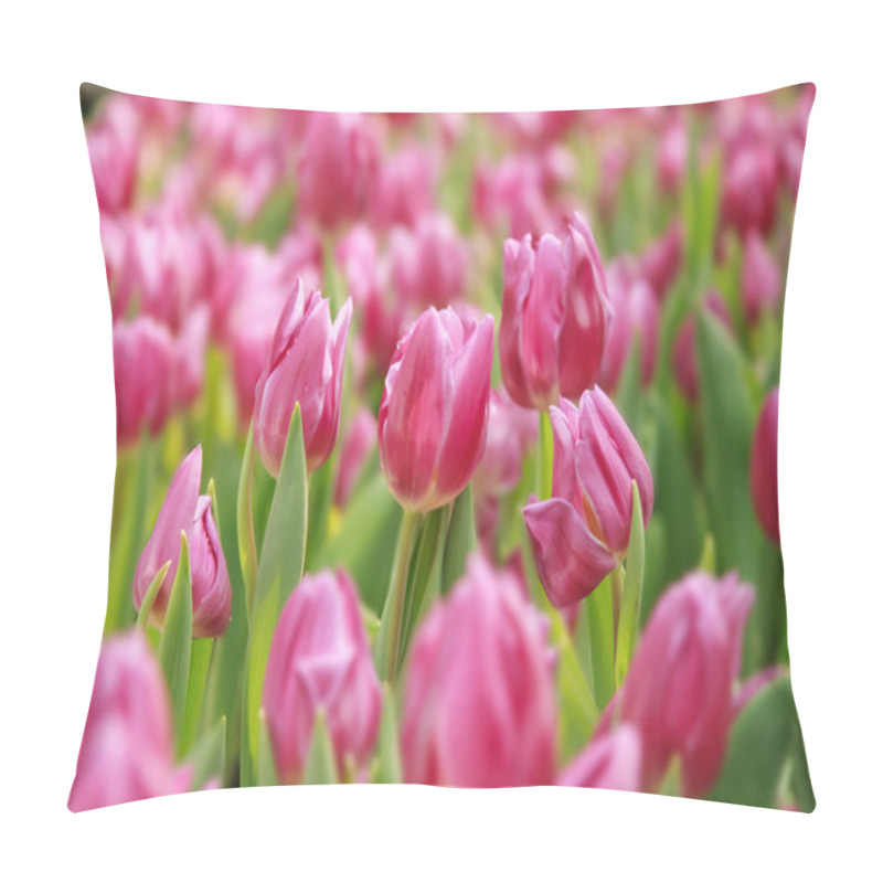 Personality  Pink Tulips In The Garden With Dof Pillow Covers