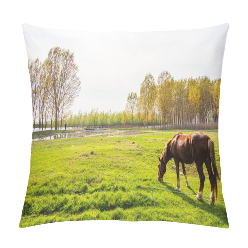 Personality  Brown Horse Grazing Grass On A Meadow Pillow Covers