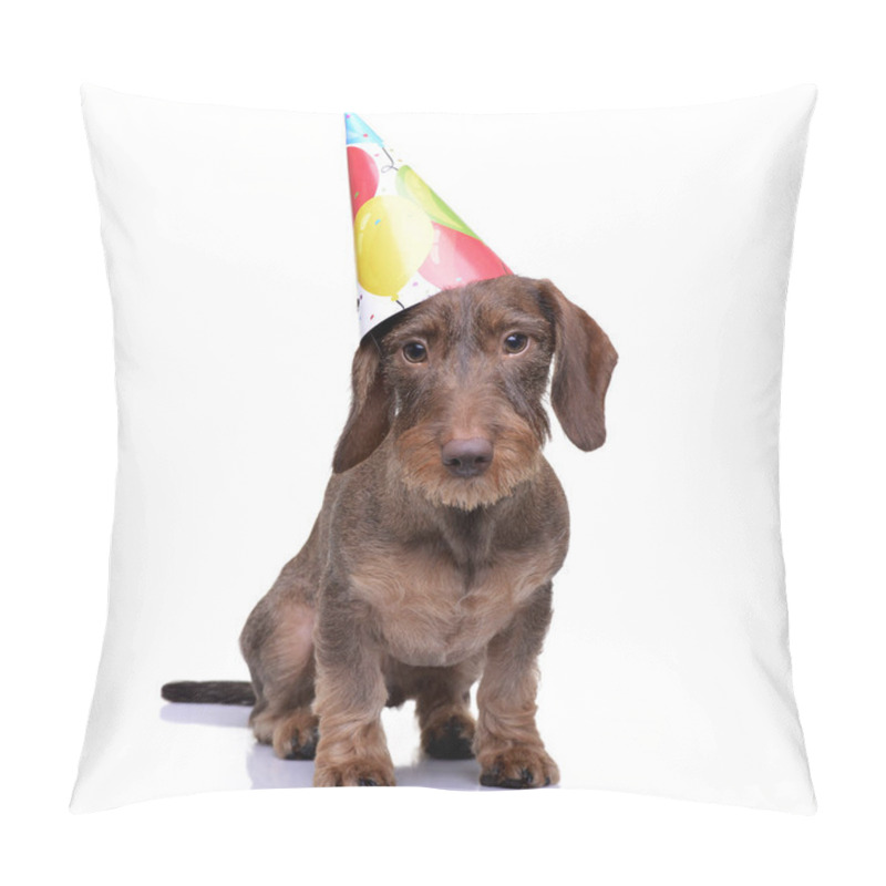 Personality  A Cute Dachshund Puppy With A Funny Paper Hat - Studio Shot, Isolated On White. Pillow Covers