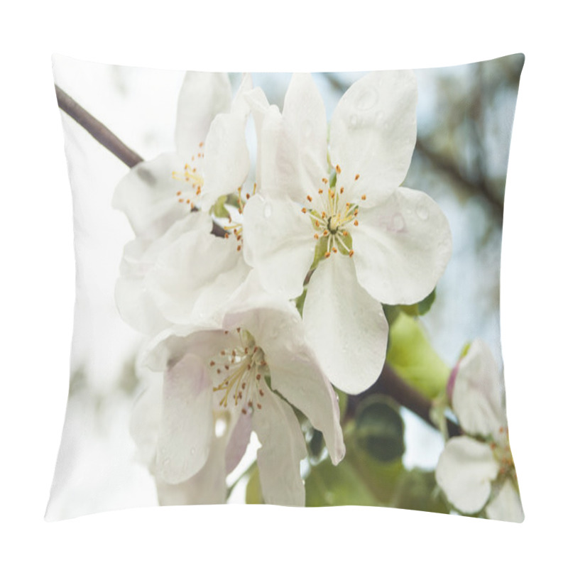 Personality  Cherry Blossoms Against  A Blue Sky Pillow Covers