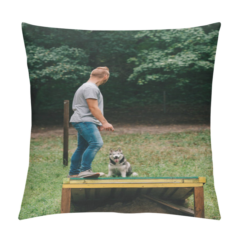 Personality  Cynologist With Siberian Husky On Dog Walk Obstacle In Obedience Class Pillow Covers