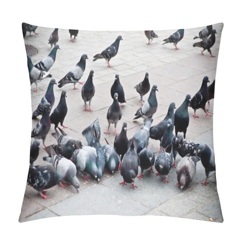 Personality  Flock Of Pigeons On The Market Pillow Covers