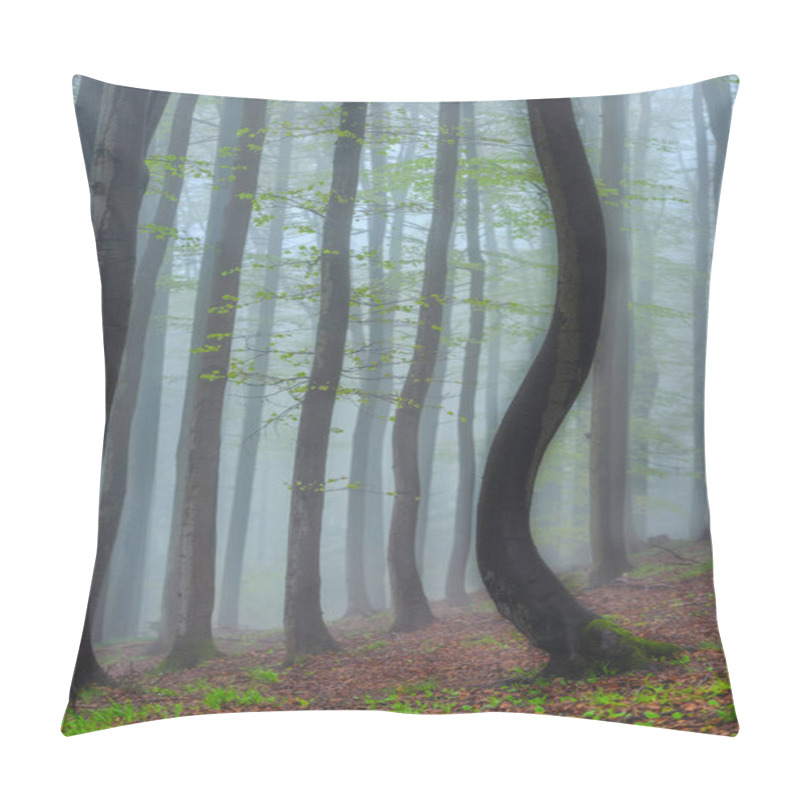 Personality  Spring Beech Forest With Fog In The Background Pillow Covers