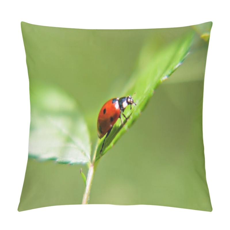 Personality  Ladybug On A Green Leaf On A Sunny Day Pillow Covers