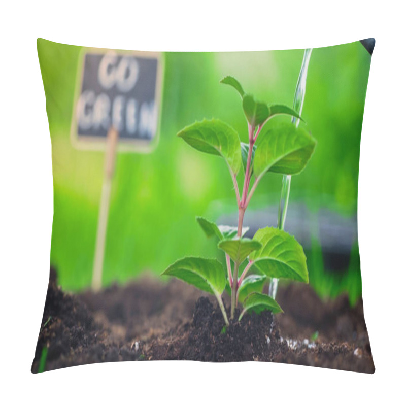 Personality  Close Up View Of Water And Plant In Soil Near Blurred Board With Go Green Lettering In Garden  Pillow Covers