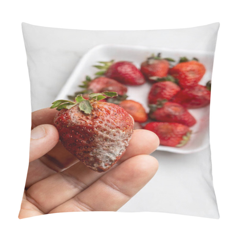 Personality  Hand Holding A Rotten And Moldy Strawberry In Close-up. Pillow Covers