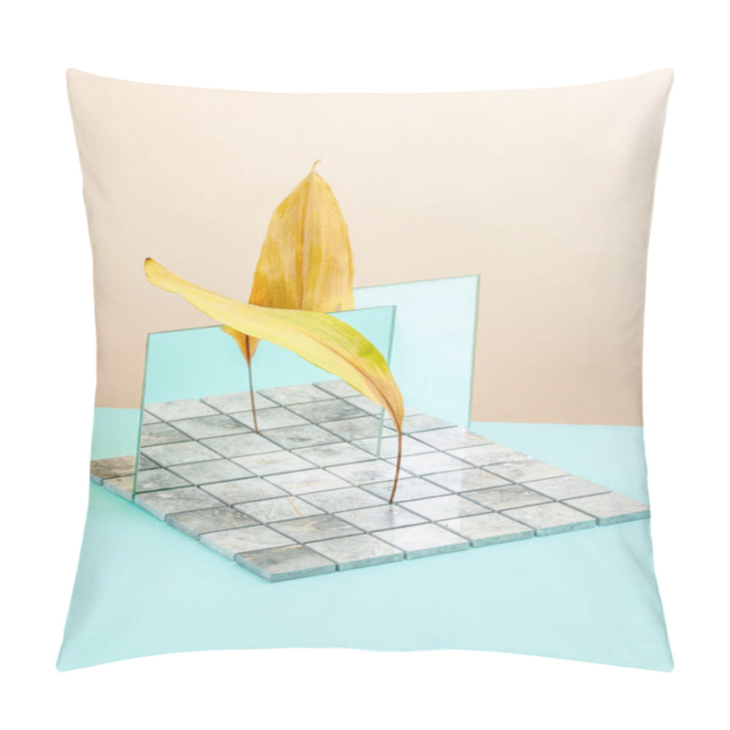 Personality  Abstract Still Life Using A Mirror, Natural Stone And Dry Leaves Pillow Covers