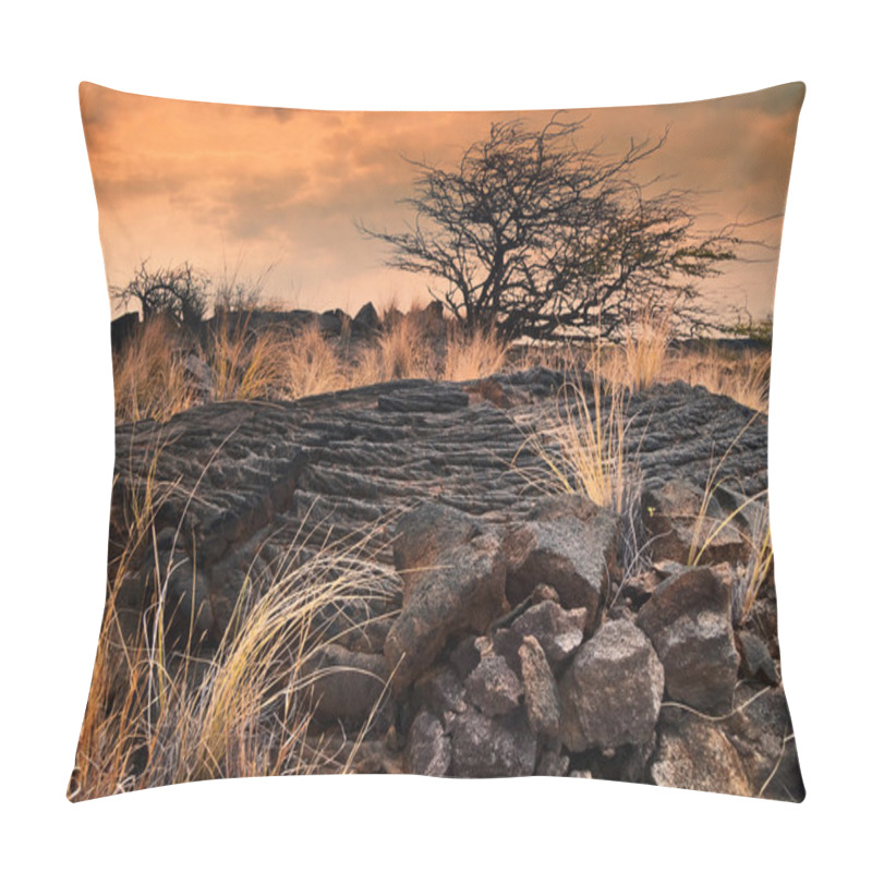 Personality  Lonely Treeat Sunset. Big Island. Hawaii Pillow Covers