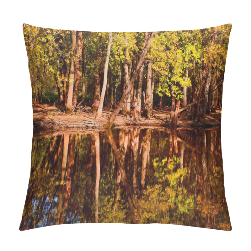 Personality  Prince's Point Wildlife Area Wisconsin Pillow Covers