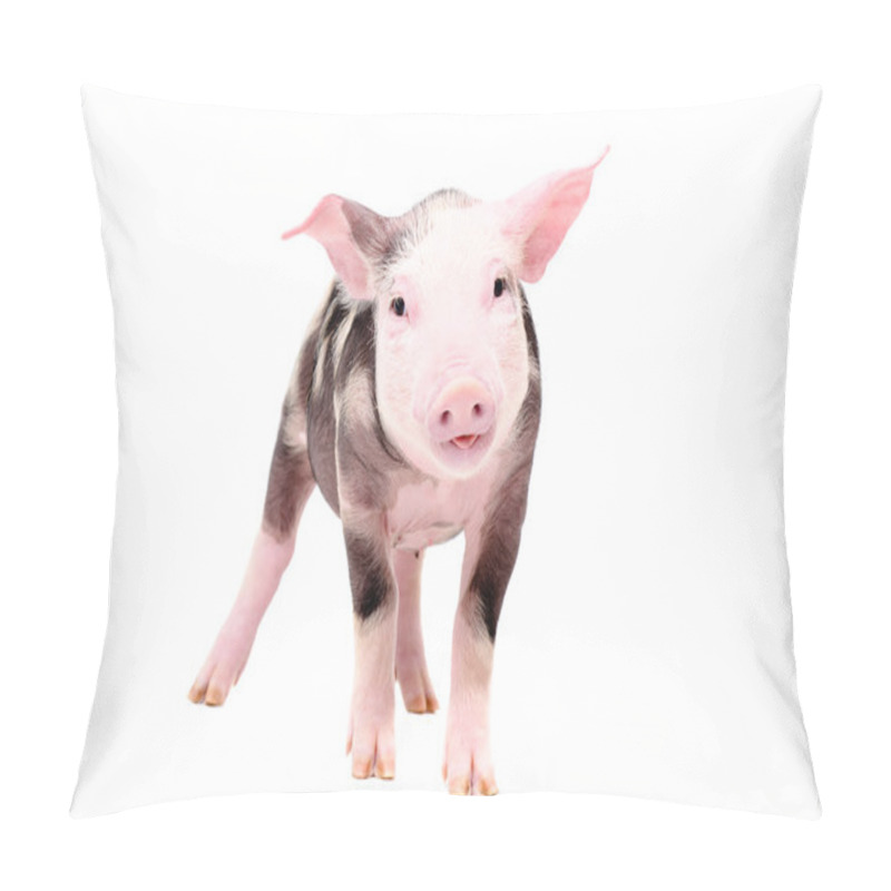 Personality  Funny Piglet Standing Isolated On White Background Pillow Covers