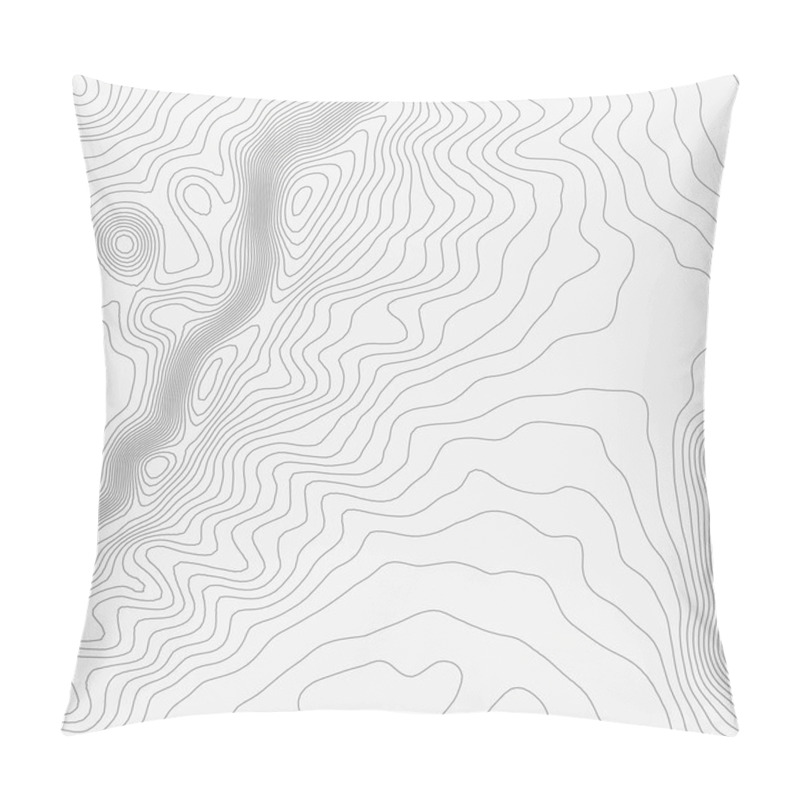 Personality  Abstract Vector Landscape Background. Cyberspace  Grid. 3d Technology  Illustration. Pillow Covers