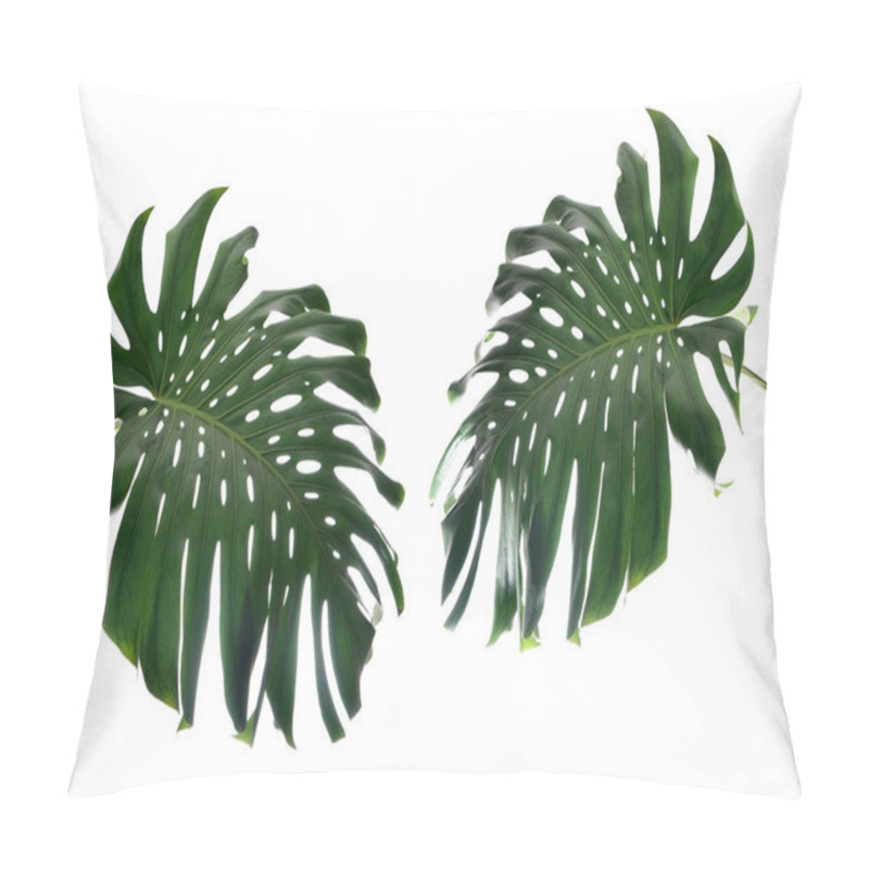 Personality  Tropical Leaves On White   Pillow Covers