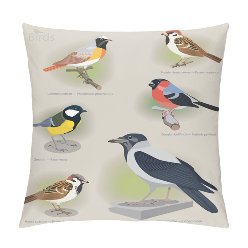 Personality  Image Set Of Birds: Common Redstart, Sparrow, Great Tit, Bullfinch, Hooded Crow Pillow Covers