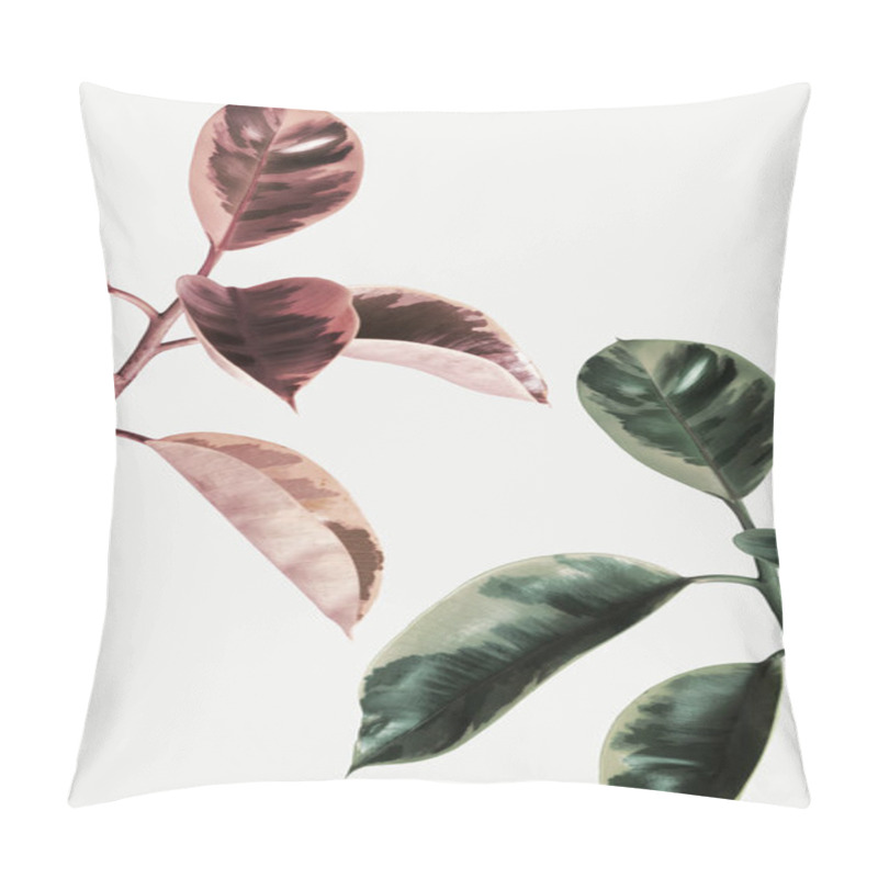 Personality  Faded Effect On An Indian Rubber Plant Pillow Covers