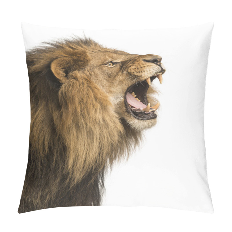 Personality  Close-up Of A Lion Roaring, Isolated On White Pillow Covers