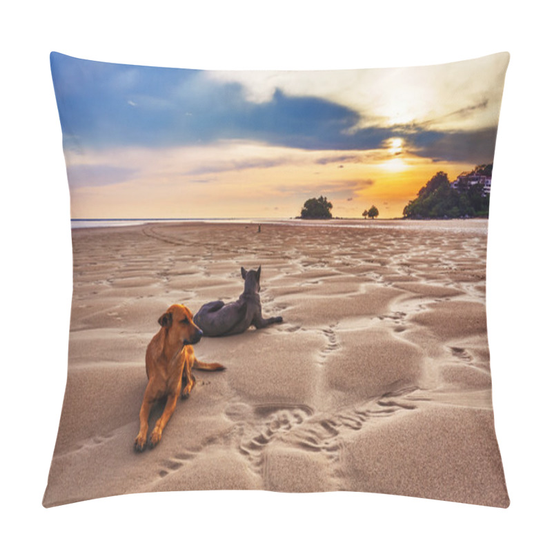 Personality  Dogs On The Beach At Sunset Pillow Covers