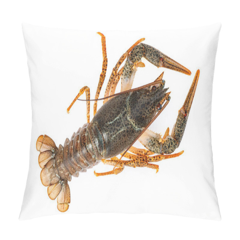 Personality  Crayfish Or Lake Crab Isolated On White Background Pillow Covers