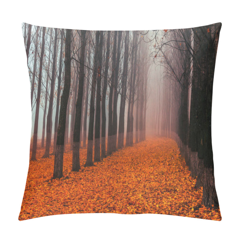 Personality  Poplar Forest - Straight Columns Of Poplar Trees In A Misty Forest Pillow Covers