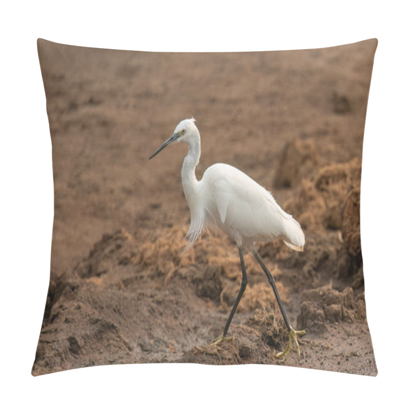 Personality  Little Egret ( Egretta Garzetta ) Pilanesberg Nature Reserve, South Africa   Pillow Covers